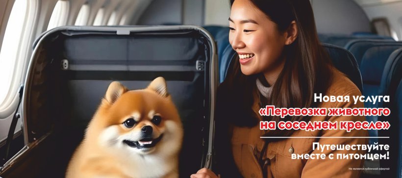 Новая услуга от авиакомпании «Якутия» — перевозка животного на соседнем кресле